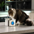 Pet Water Fountain | LED Indicator Stainless Steel Design
