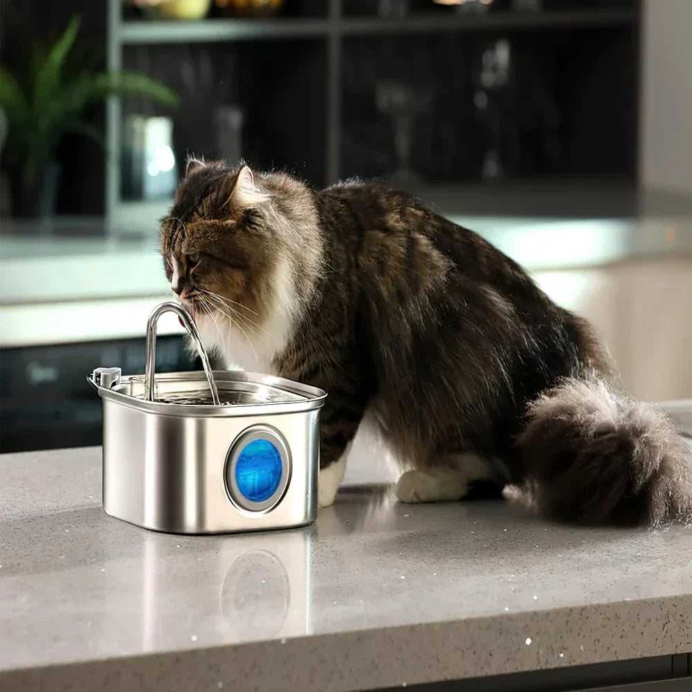 Pet Water Fountain | LED Indicator Stainless Steel Design