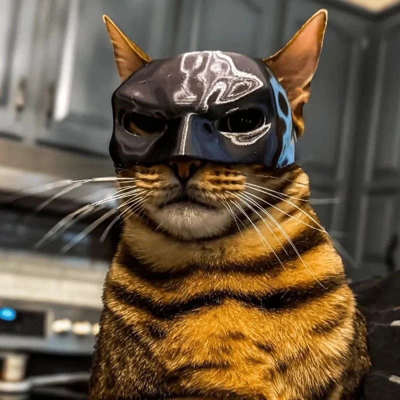 Batman Cat Mask | Black PLA Superhero Pet Costume