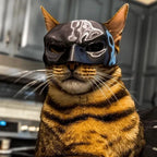 Batman Cat Mask | Black PLA Superhero Pet Costume