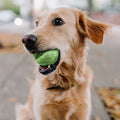Interactive Dog Ball Toy | Automatic Rolling Motion Technology