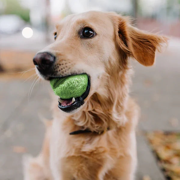 Interactive Dog Ball Toy | Automatic Rolling Motion Technology