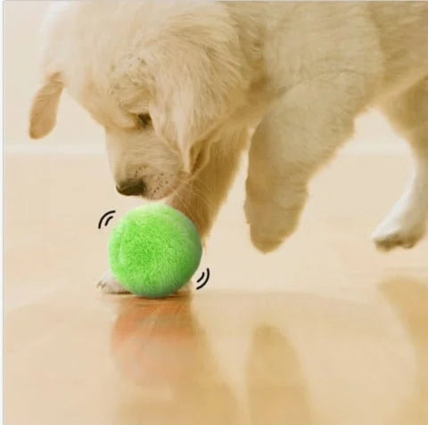 Interactive Dog Ball Toy | Automatic Rolling Motion Technology