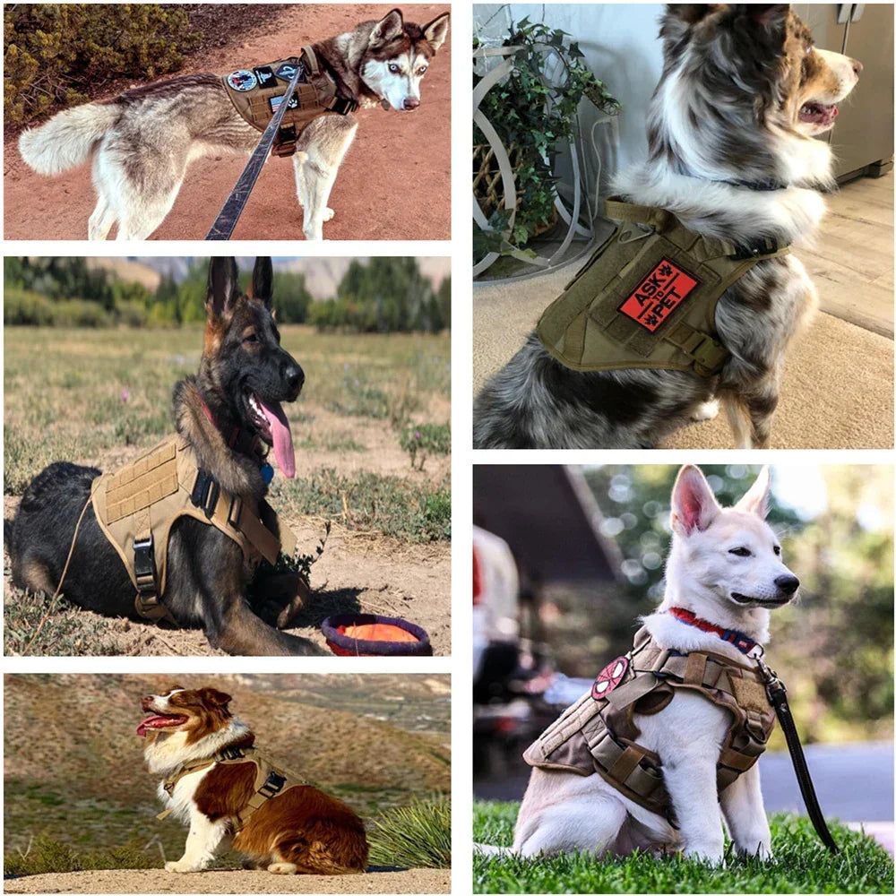 Military Grade Dog Harness | Tactical Training Control System