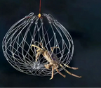 Collapsible Fishing Trap Net | Stainless Steel Mesh Design