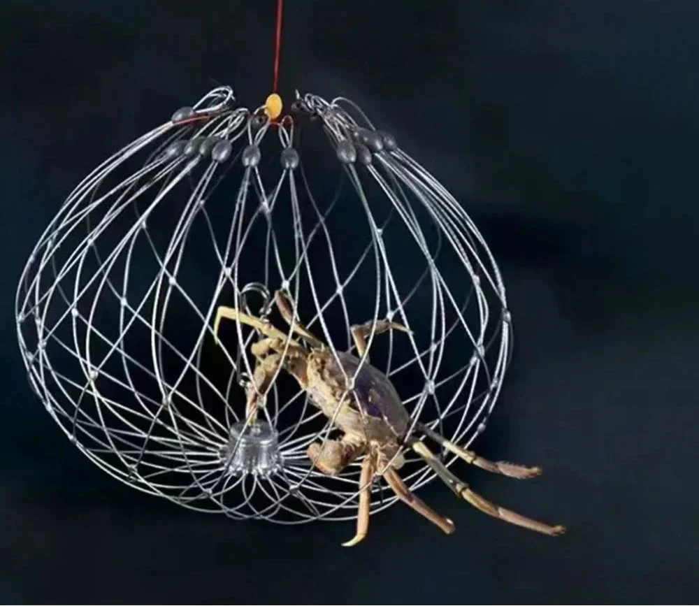 Collapsible Fishing Trap Net | Stainless Steel Mesh Design