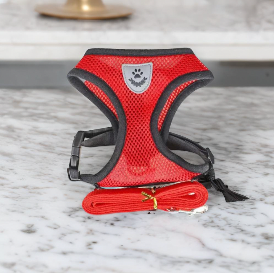 Cat Harness and Leash Set | Adjustable Mesh Design with Safety D-Ring