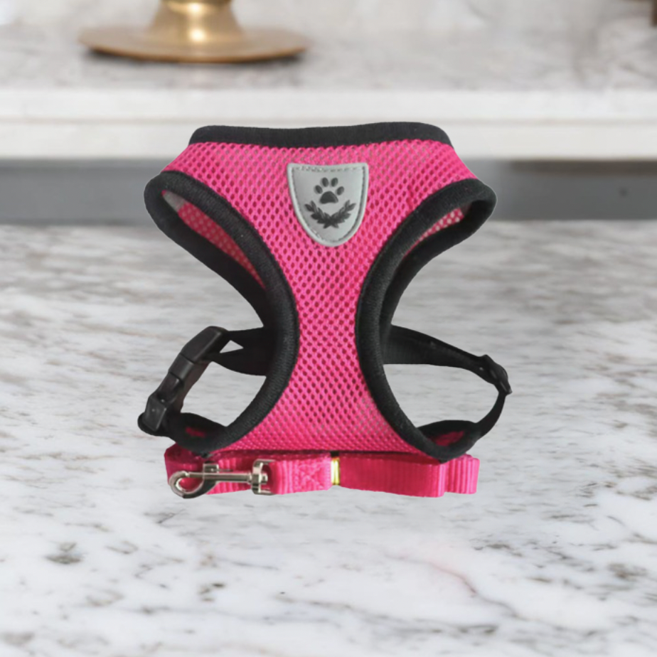 Cat Harness and Leash Set | Adjustable Mesh Design with Safety D-Ring