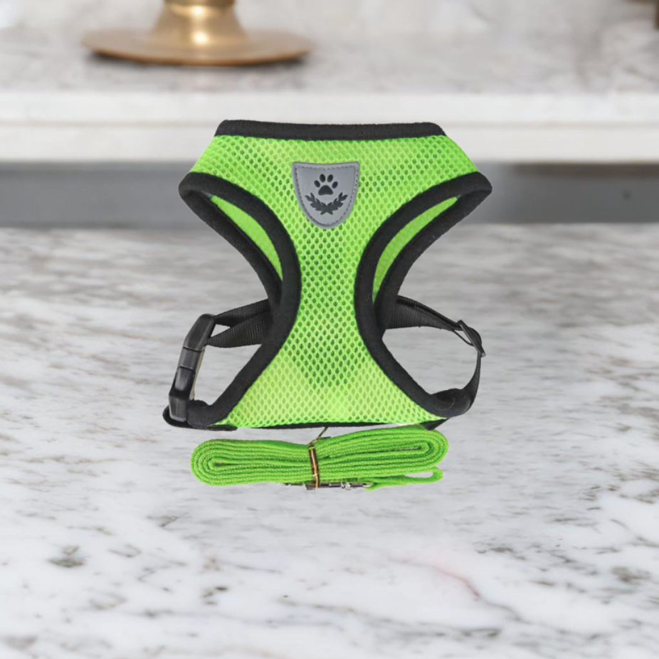 Cat Harness and Leash Set | Adjustable Mesh Design with Safety D-Ring