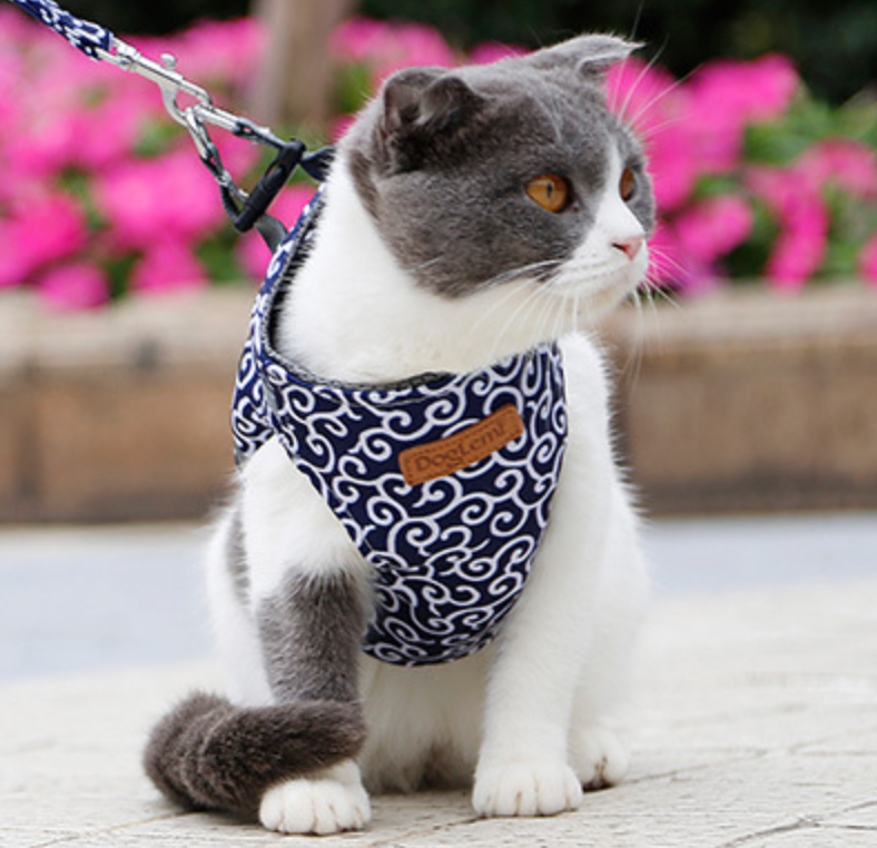 Japanese Pattern Cat Harness | Navy Blue Wave Design With Leash