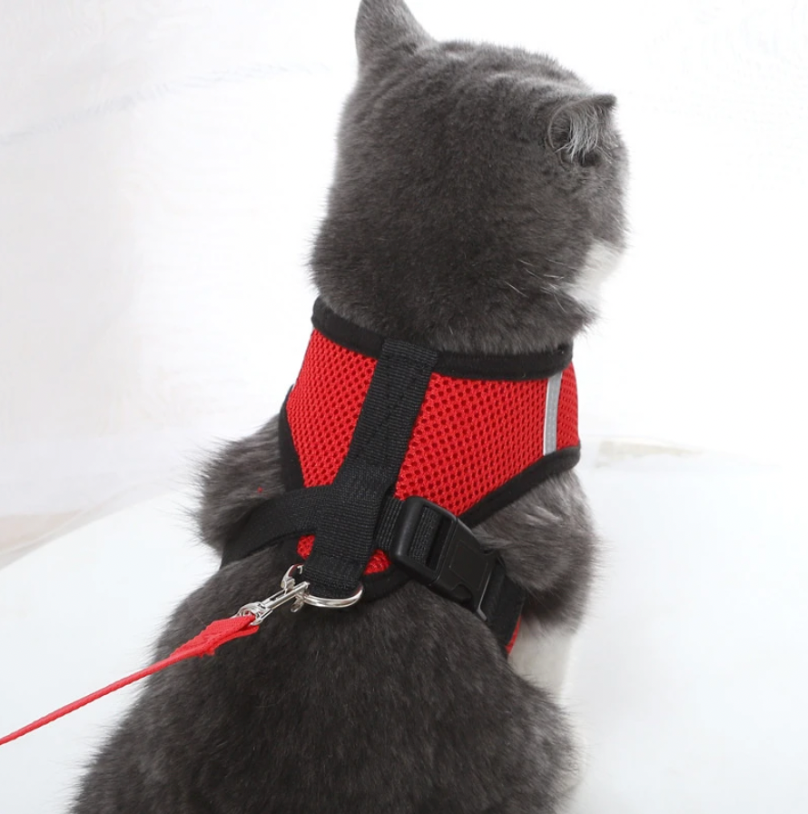 Cat Harness and Leash Set | Adjustable Mesh Design with Safety D-Ring