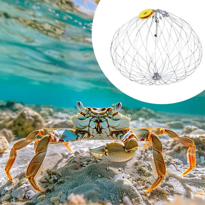 Collapsible Fishing Trap Net | Stainless Steel Mesh Design