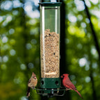 Anti-Squirrel Bird Feeder | Weight-Activated Spinning Perch Design