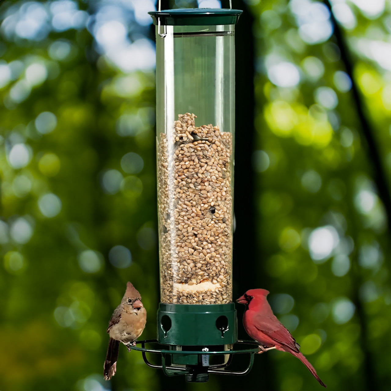 Anti-Squirrel Bird Feeder | Weight-Activated Spinning Perch Design