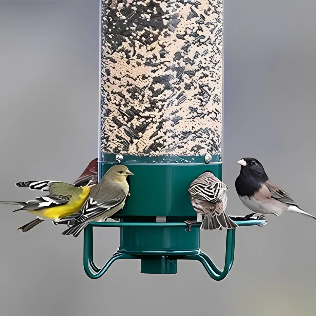 Anti-Squirrel Bird Feeder | Weight-Activated Spinning Perch Design