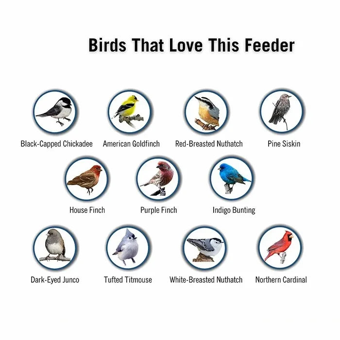 Anti-Squirrel Bird Feeder | Weight-Activated Spinning Perch Design