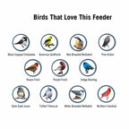 Anti-Squirrel Bird Feeder | Weight-Activated Spinning Perch Design