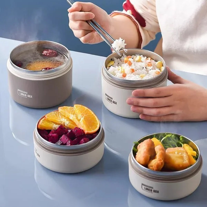 Insulated Stainless Steel Lunch Box | Double Container Set with Thermal Bag