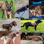 Military Grade Dog Harness | Tactical Training Vest with Quick-Release System