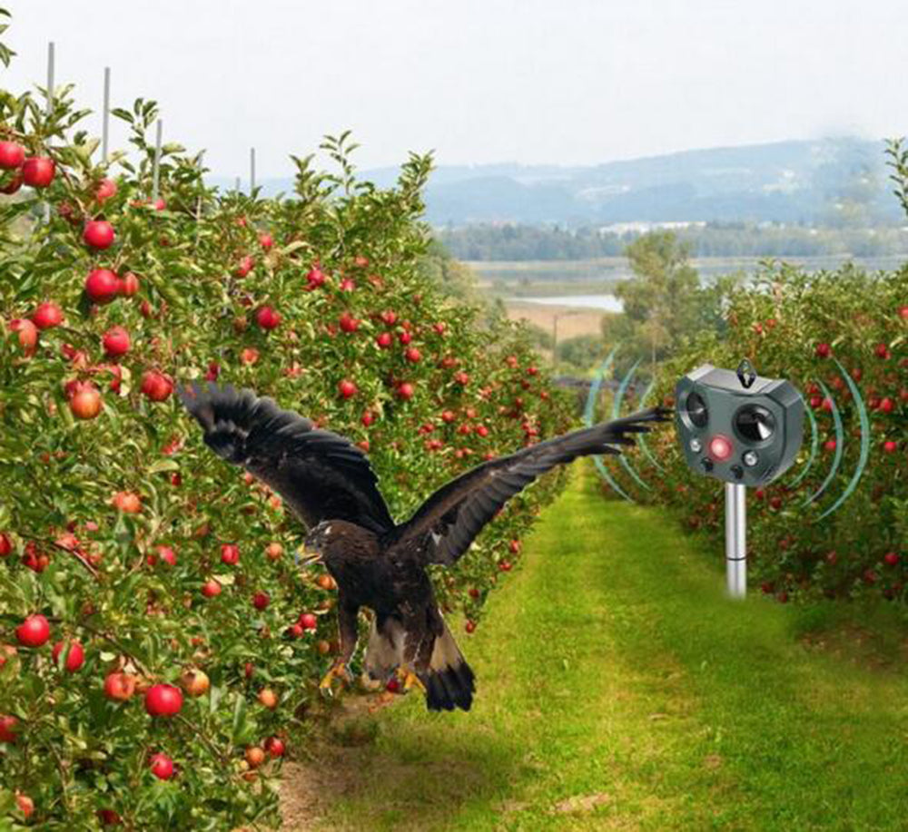 Solar Ultrasonic Bird Repeller | Motion Sensor Garden Protection