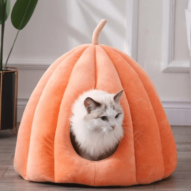 Plush Cat Bed | Pumpkin Shape Design For Winter Comfort
