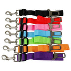 Pet Safety Car Belt | Adjustable Length with Rotating Clip