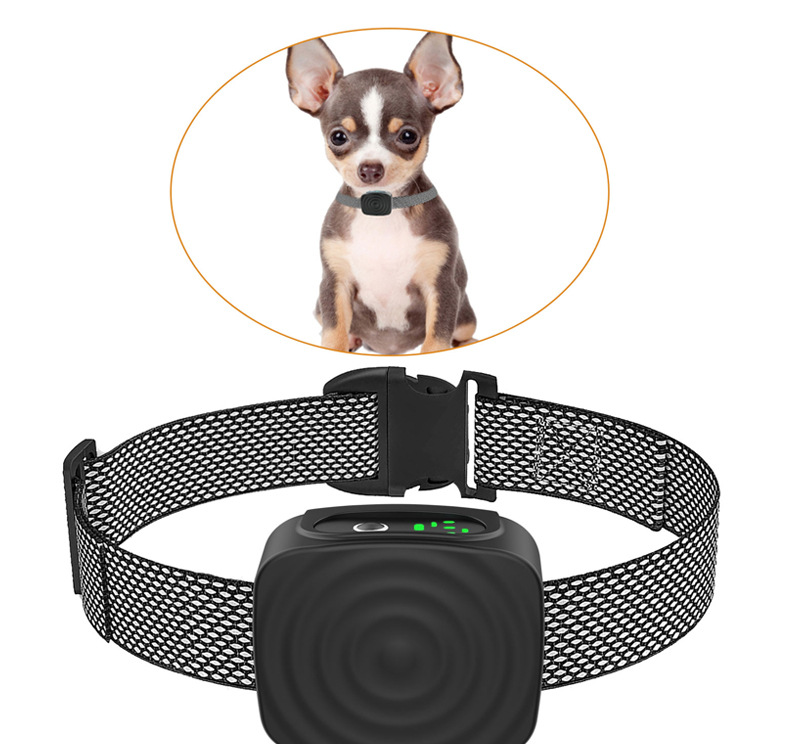 Anti-Bark Dog Collar | Vibration Training for Small Dogs