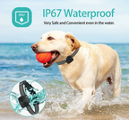 Anti-Bark Dog Collar | Vibration Training for Small Dogs