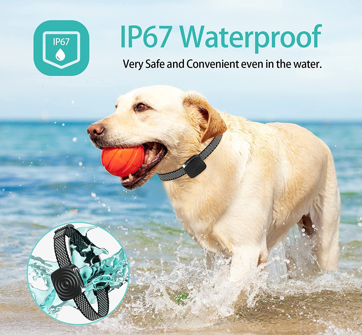 Anti-Bark Dog Collar | Vibration Training for Small Dogs