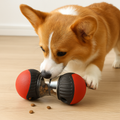 Interactive Dog Puzzle Toy | Slow Feeder Design with Mental Stimulation