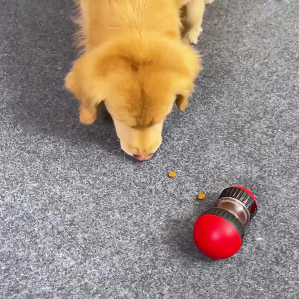 Interactive Dog Puzzle Toy | Slow Feeder Design with Mental Stimulation