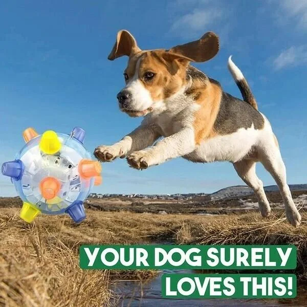 Interactive Dog Toy Ball | LED Light-Up Bouncing Ball