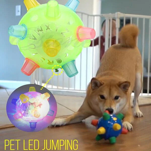 Interactive Dog Toy Ball | LED Light-Up Bouncing Ball