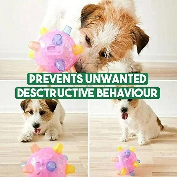 Interactive Dog Toy Ball | LED Light-Up Bouncing Ball