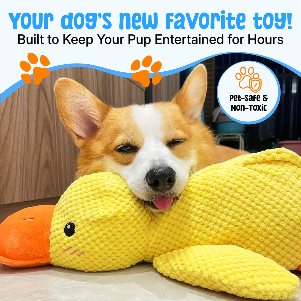 Plush Duck Dog Toy | Soft Squeaky Chew Toy