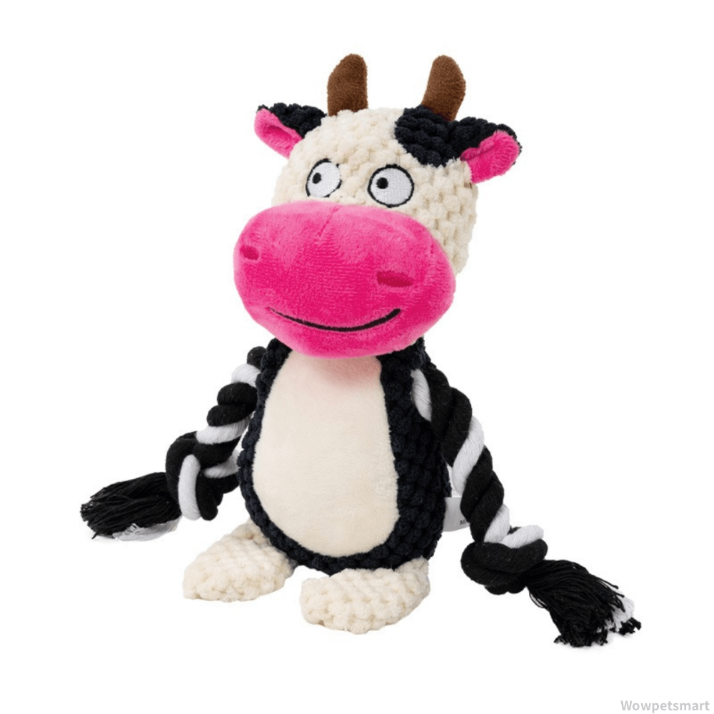 Plush Dog Toy | Crinkle Crocodile with Squeaker