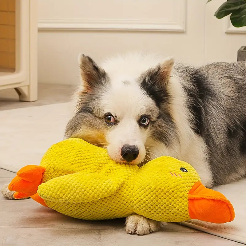 Plush Duck Dog Toy | Interactive Mental Stimulation Design