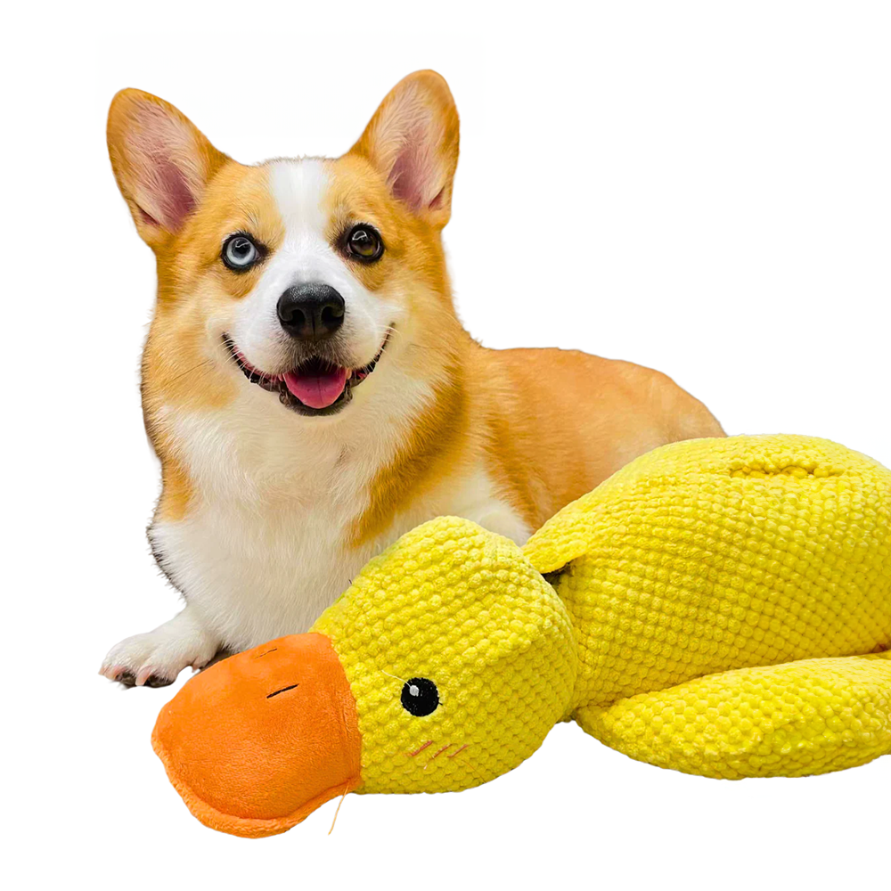Plush Duck Dog Toy | Interactive Mental Stimulation Design