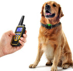Remote Dog Training Collar | Waterproof Rechargeable Design