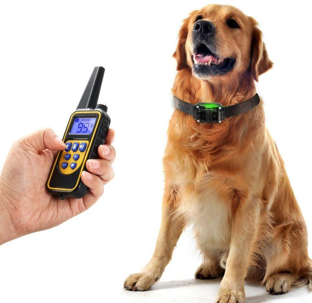 Remote Dog Training Collar | Waterproof Rechargeable Design