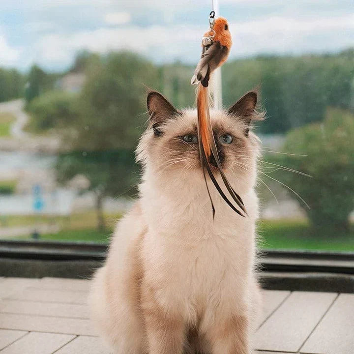 Interactive Cat Wand Toy | Realistic Flying Bird Simulation