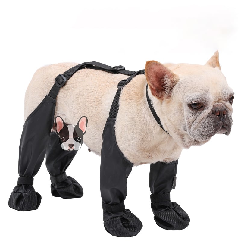 Protective Dog Boots | All-Weather Paw Guards