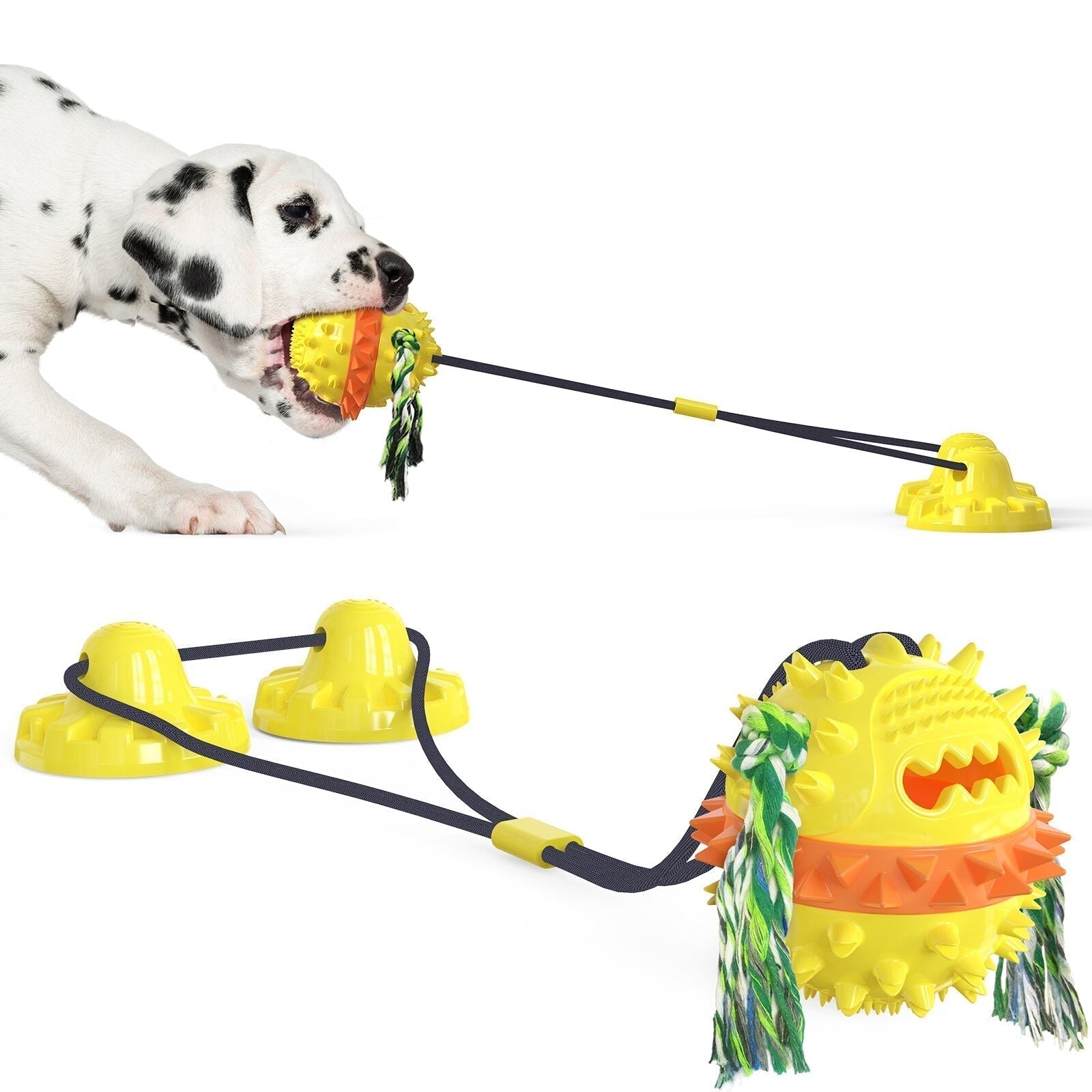 Interactive Dog Toy | Suction Cup Base with Dental Chew Ball