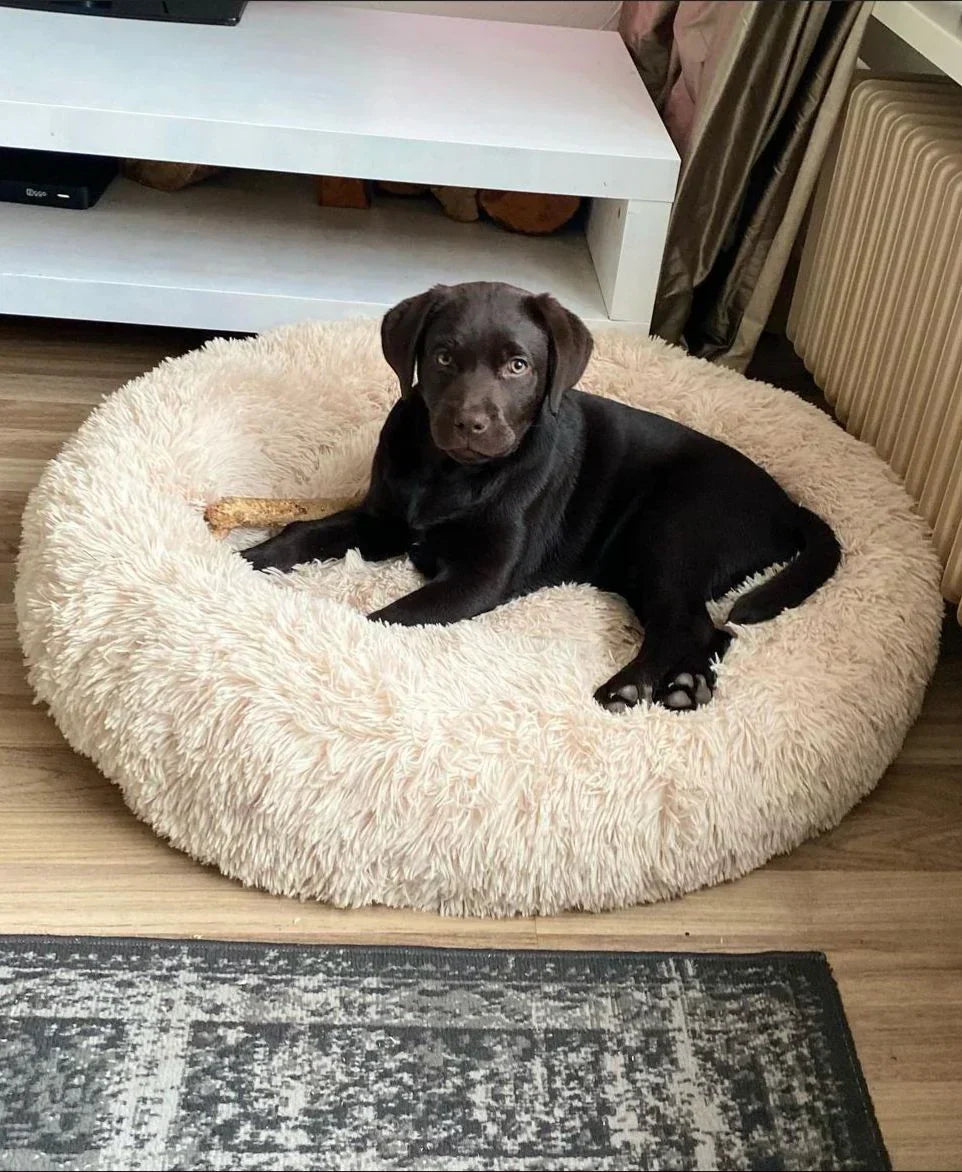 Plush Round Dog Bed | Ergonomic Support for All Breeds