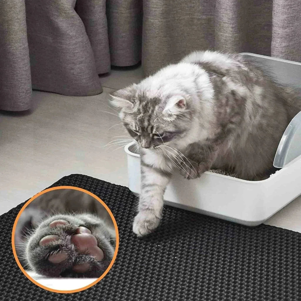 Cat Litter Mat | Double Layer Waterproof Design