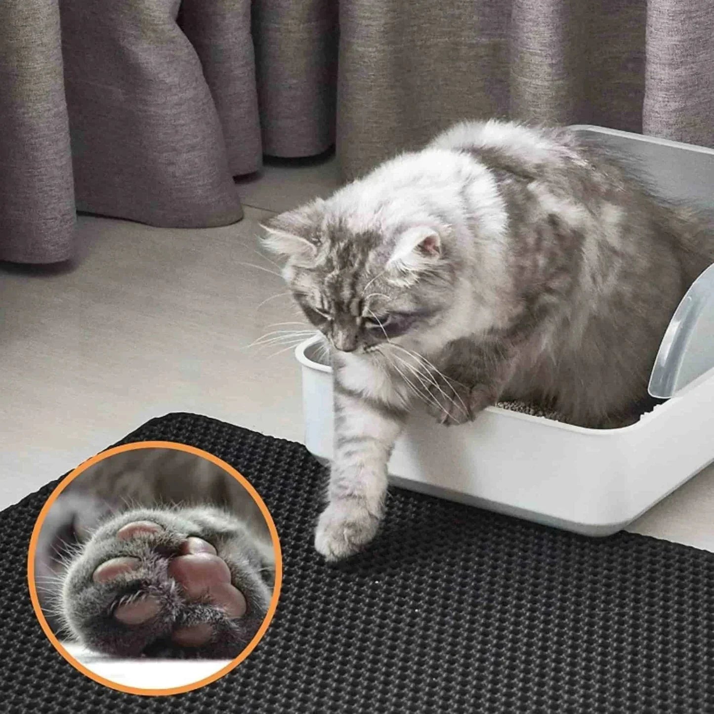 Cat Litter Mat | Double Layer Waterproof Design
