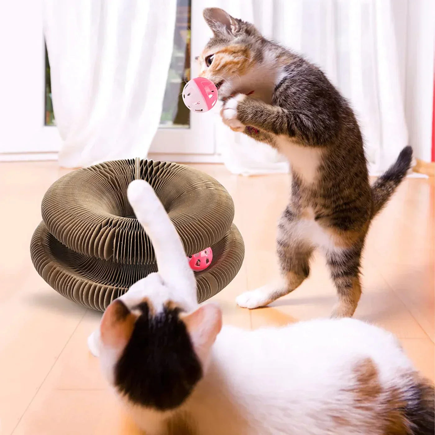 Interactive Cat Scratcher Toy | Collapsible Play Ring With Ball