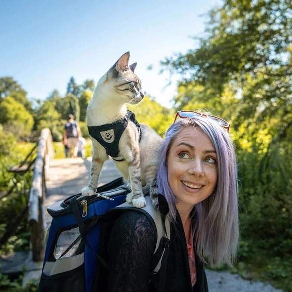 Reflective Cat Harness Set | Safety Mesh Design With Night Visibility
