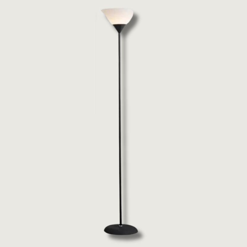 Modern LED Floor Lamp | Minimalist Black Metal Design