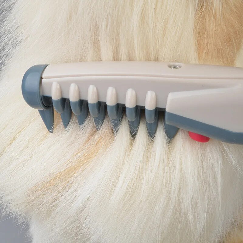 Professional Pet Grooming Clipper | Low Noise Wireless Trimmer